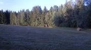 LT17_066.jpg