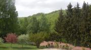 S1_001.jpg