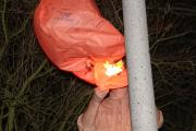 IMG_4921.JPG