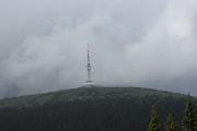 DSC_7985.jpg