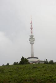 DSC_8010.jpg