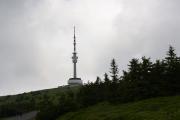 DSC_8085.jpg