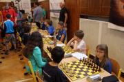 IMG_5833.JPG