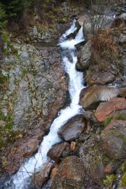 DSC_4307.jpg