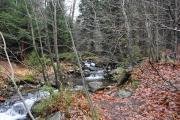 DSC_4420.jpg