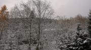 DSC_5205_5015.jpg