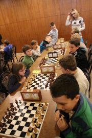 IMG_7366.JPG