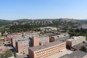 IMG_7715.JPG