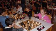 Sk_025.jpg
