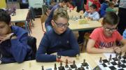 4VC_015.jpg