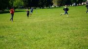 4VC_037.jpg