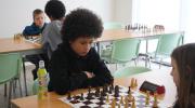 7VC22_026.jpg