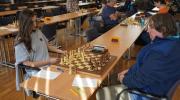 OpenQCC_029.jpg